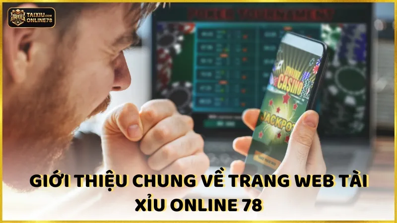 Giới thiệu Cổng game Tài xỉu online 78 2 Giới thiệu chung về trang web Tài xỉu online 78