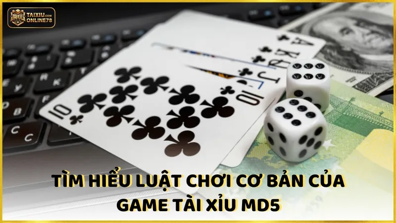 Tài Xỉu MD5 – Tựa Game Xanh Chín Hấp Dẫn Nhất Thị Trường 3 Tìm hiểu luật chơi cơ bản của game tài xỉu MD5