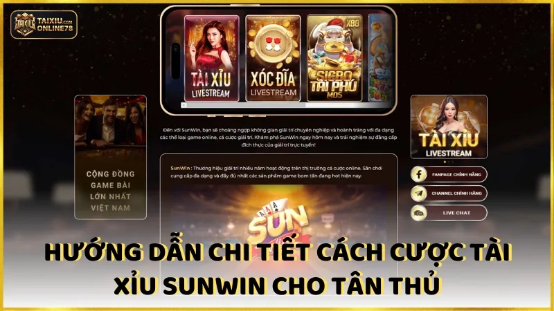 Review Cổng Game Tài Xỉu Sunwin - Sân Chơi Săn Hũ Nghìn Đô! 3 Hướng dẫn chi tiết cách cược Tài xỉu Sunwin cho tân thủ